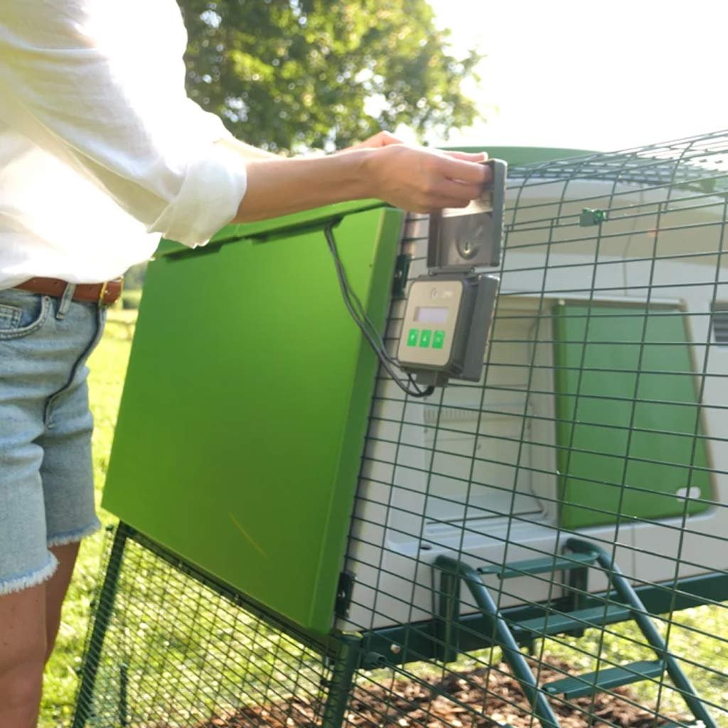omlet autodoor | automatic chicken coop door