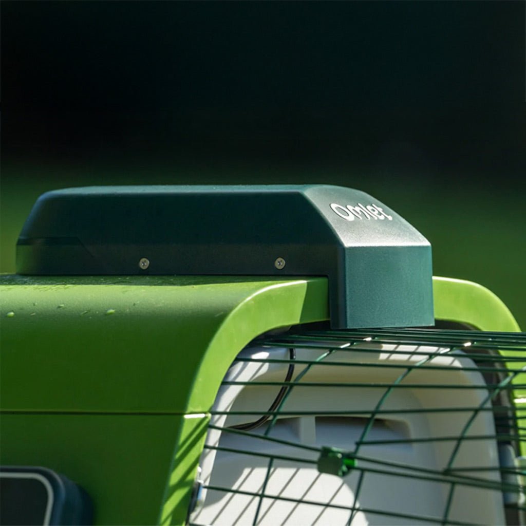 smart autodoor for eglu go | go up coops