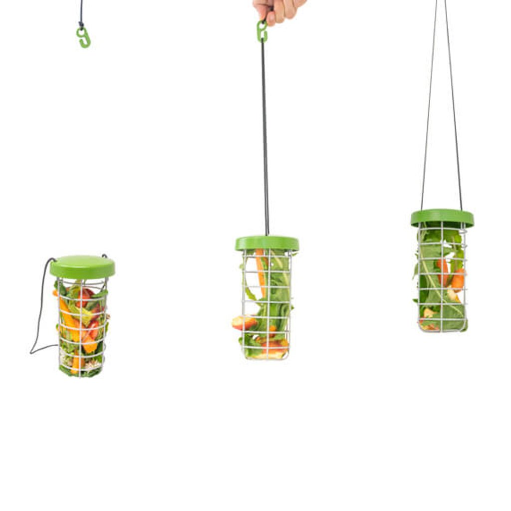 caddi rabbit & cavy treat holder | omlet