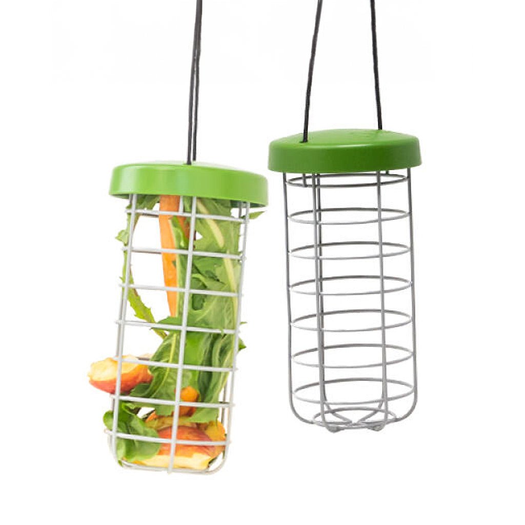 caddi rabbit & cavy treat holder | omlet