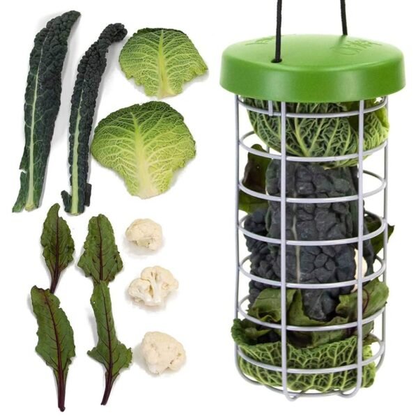 caddi chicken treat holder | omlet
