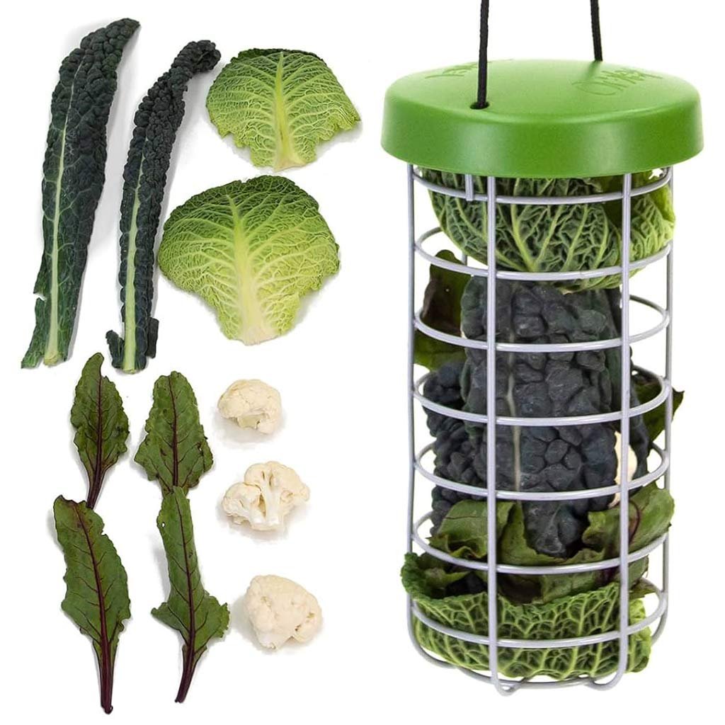 caddi chicken treat holder | omlet