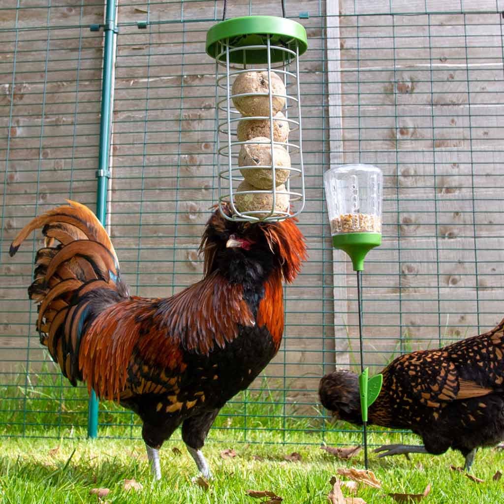 caddi chicken treat holder | omlet