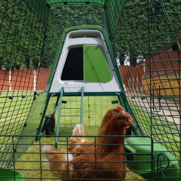 eglu go up | raised chicken coop