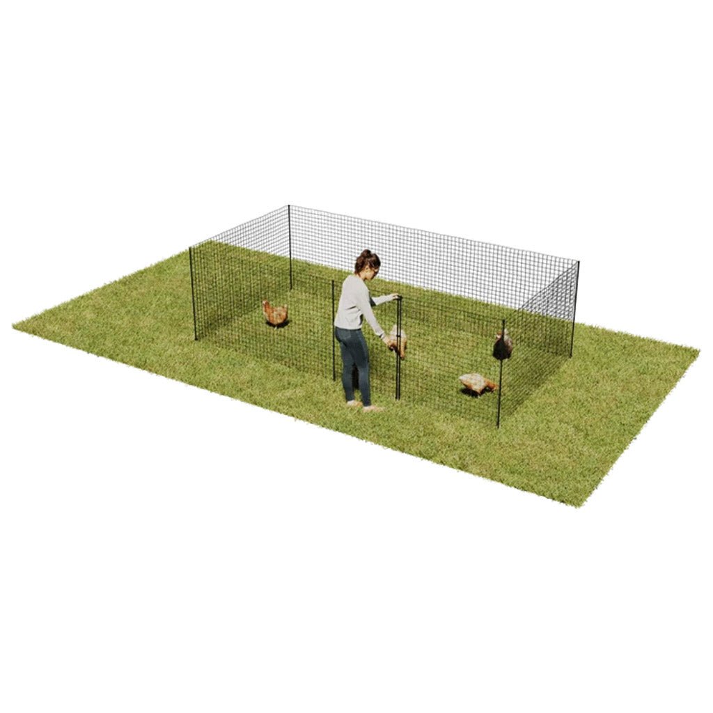 chicken fencing | omlet