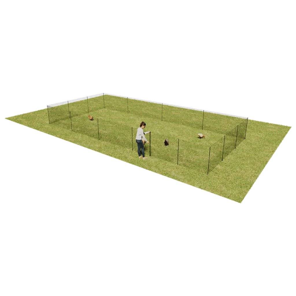 chicken fencing | omlet