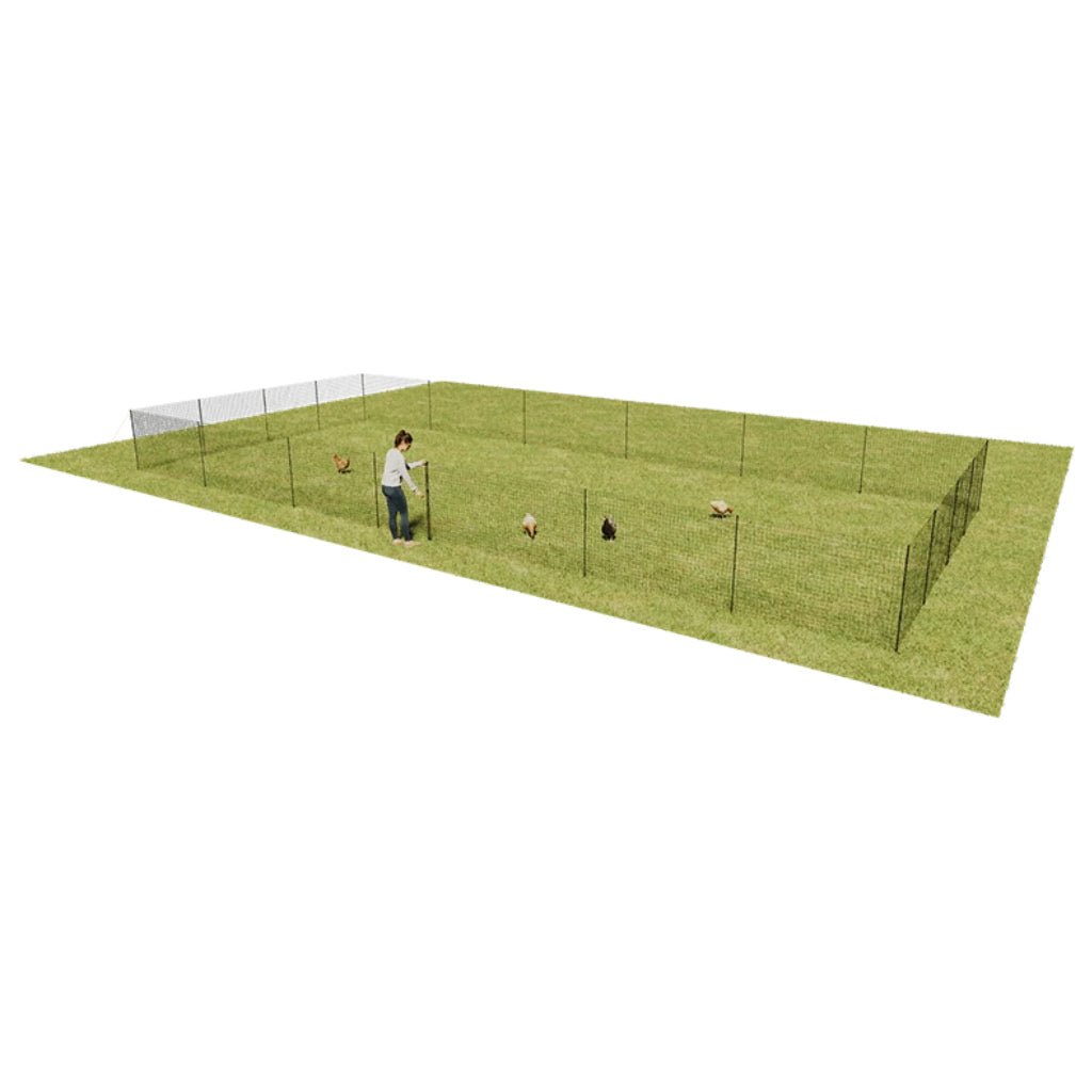 chicken fencing | omlet