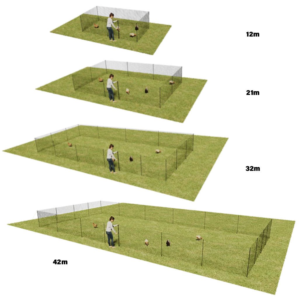 chicken fencing | omlet