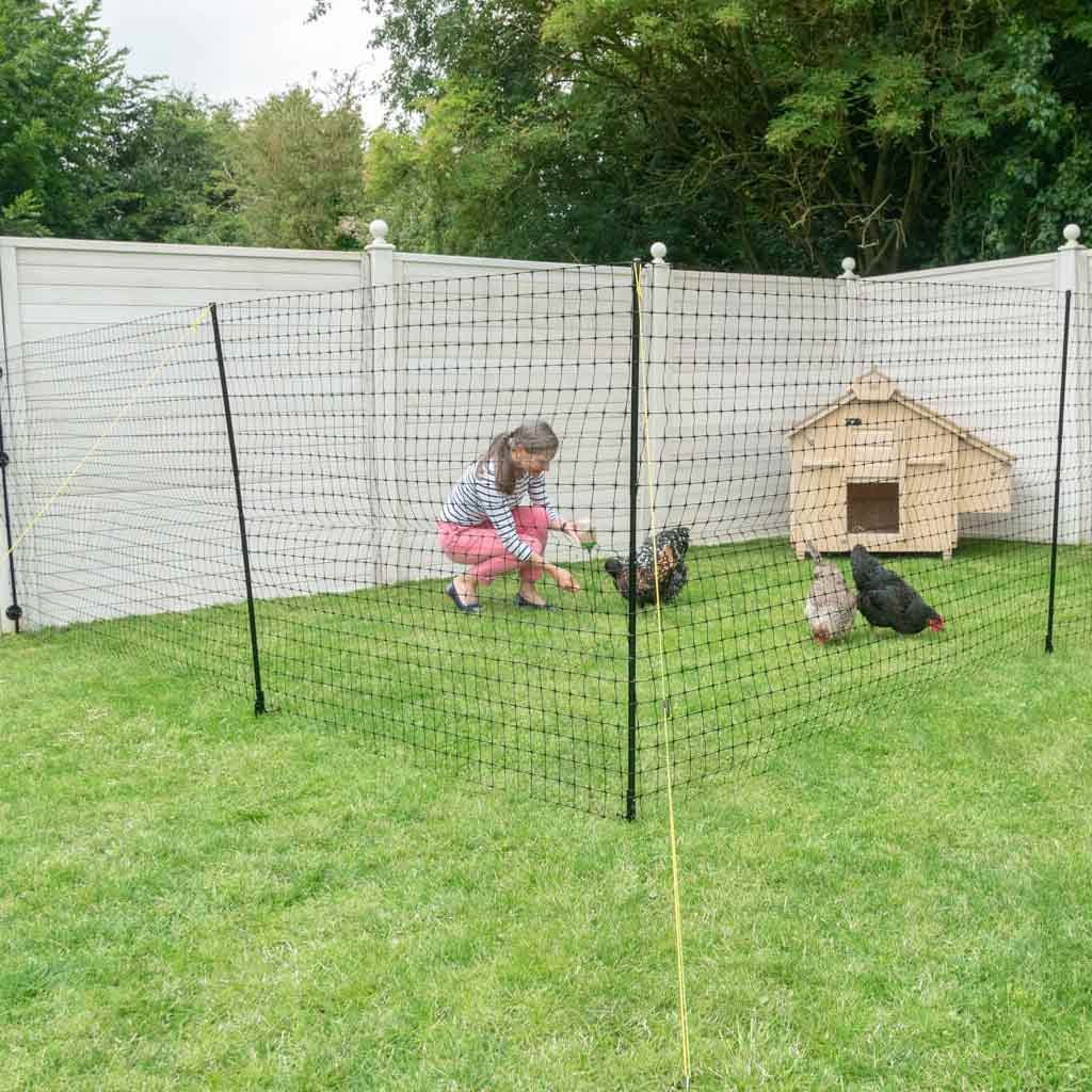 chicken fencing | omlet