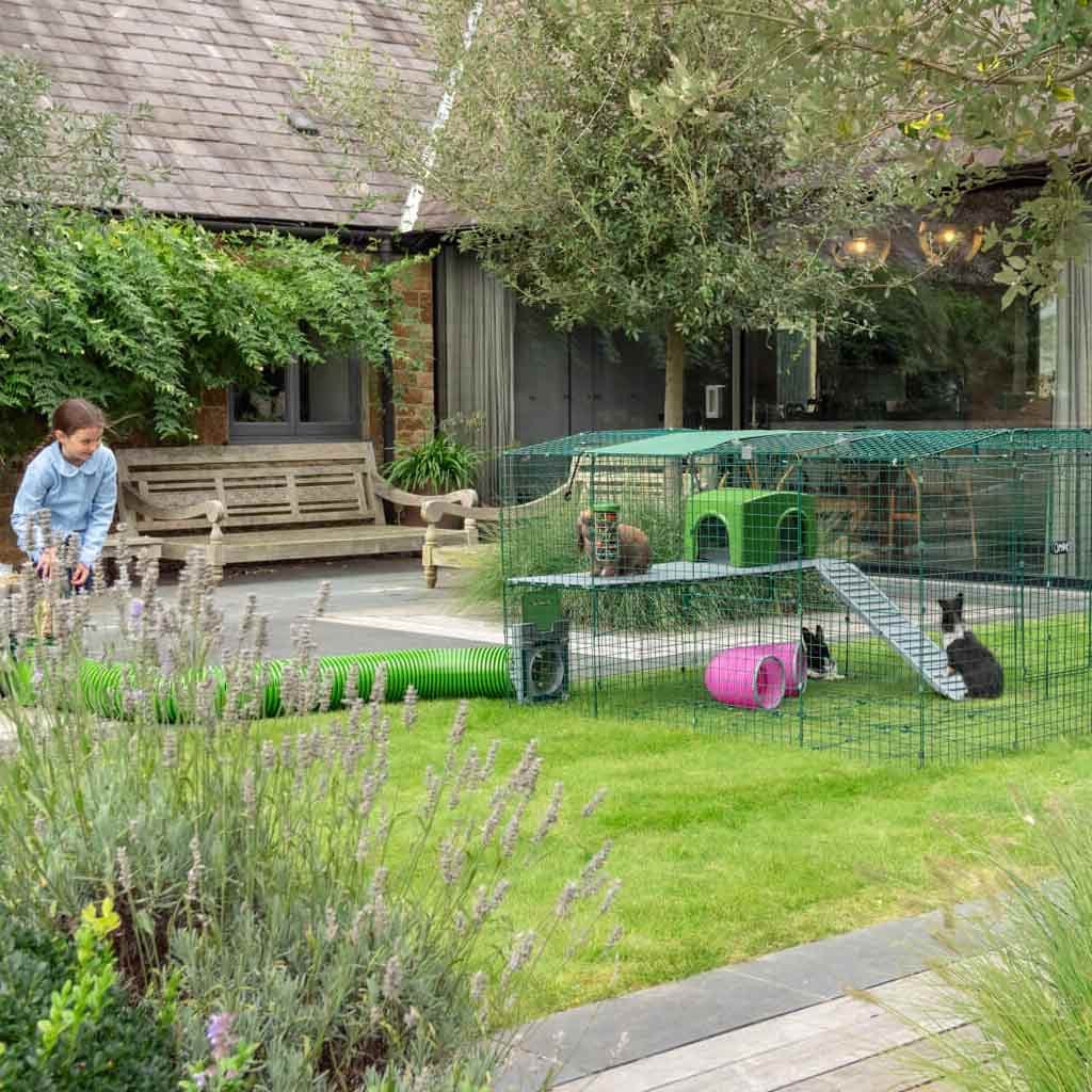 rabbit shelter | zippi