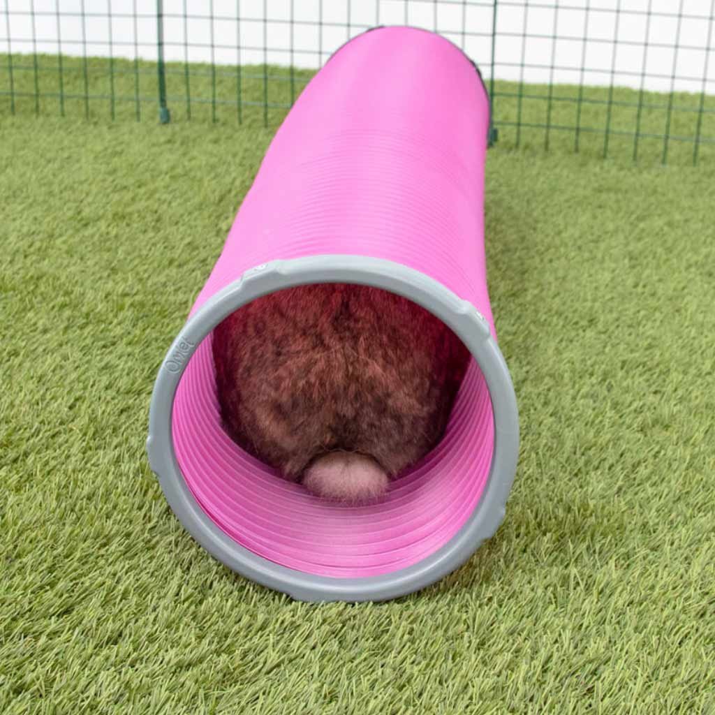 rabbit play tunnel | zippi