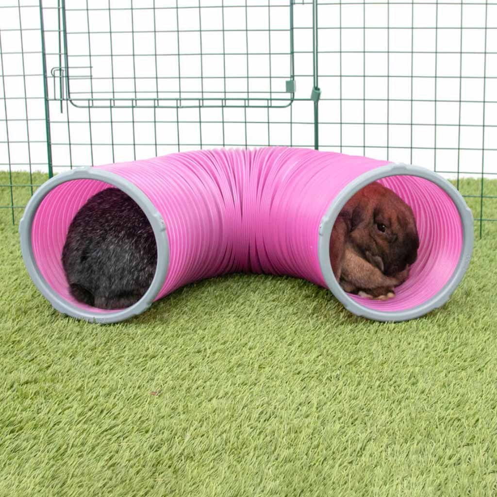 rabbit play tunnel | zippi