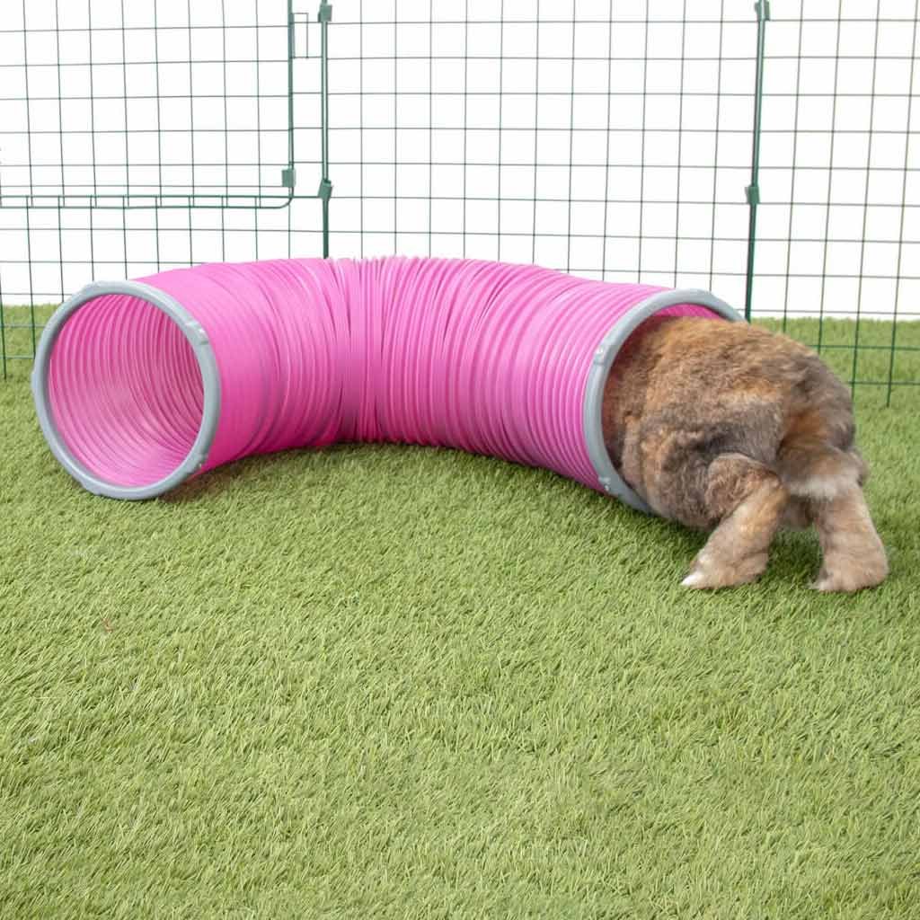 rabbit play tunnel | zippi
