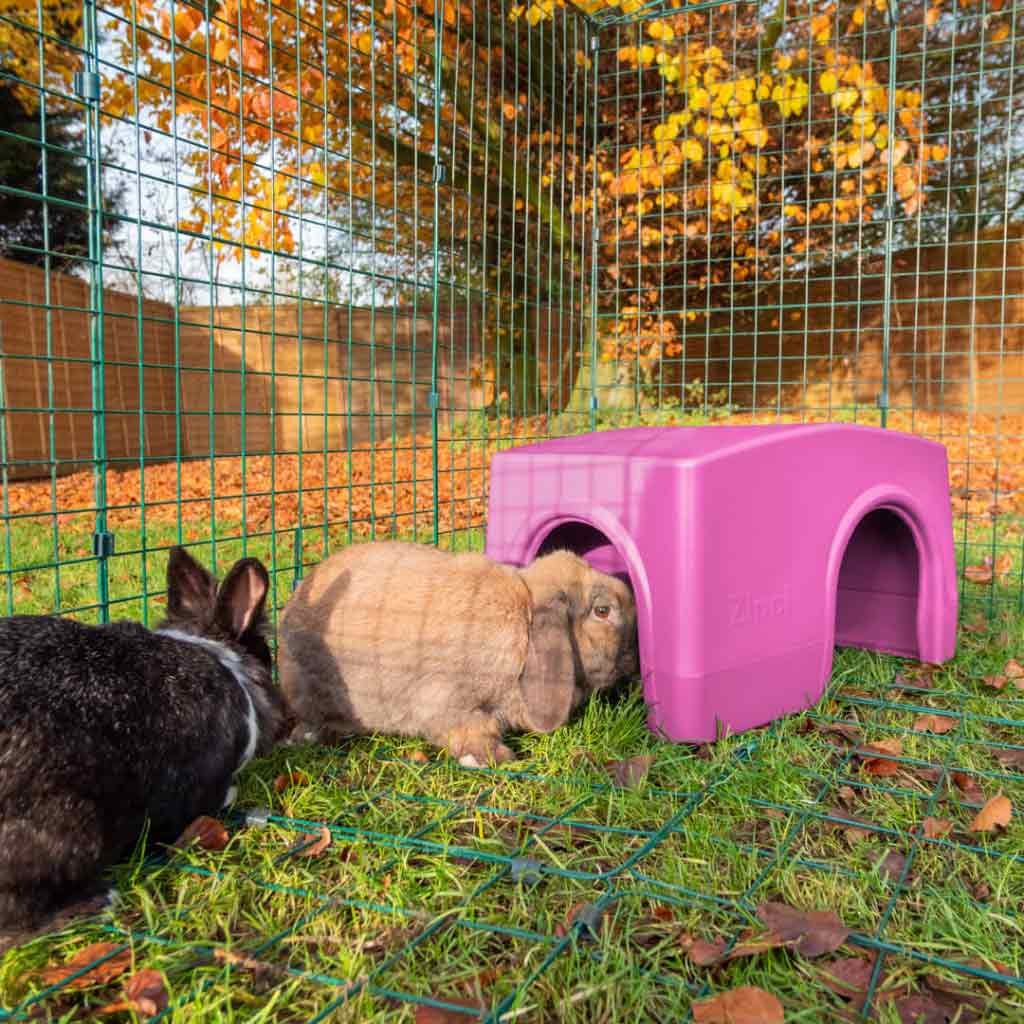 rabbit shelter | zippi