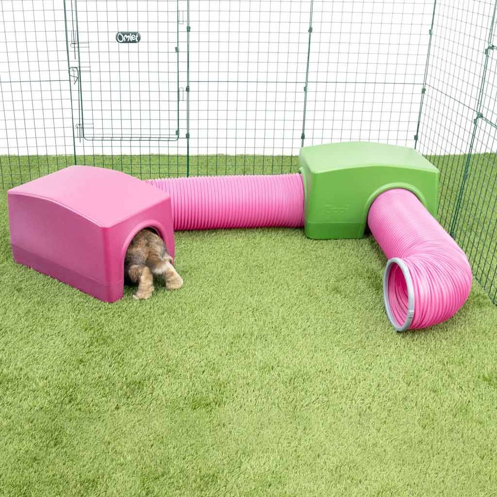 rabbit play tunnel | zippi
