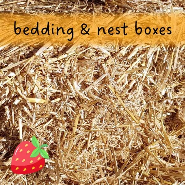 straw | 50l cardboard box | bedding