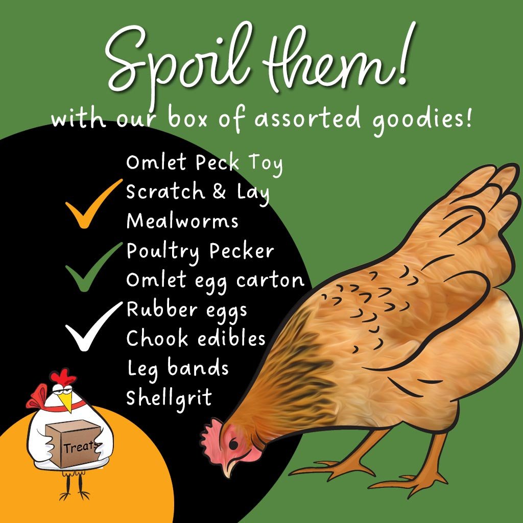 chicken treats box | appletons