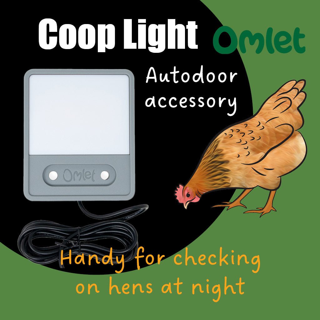 coop light | automatic chicken coop door