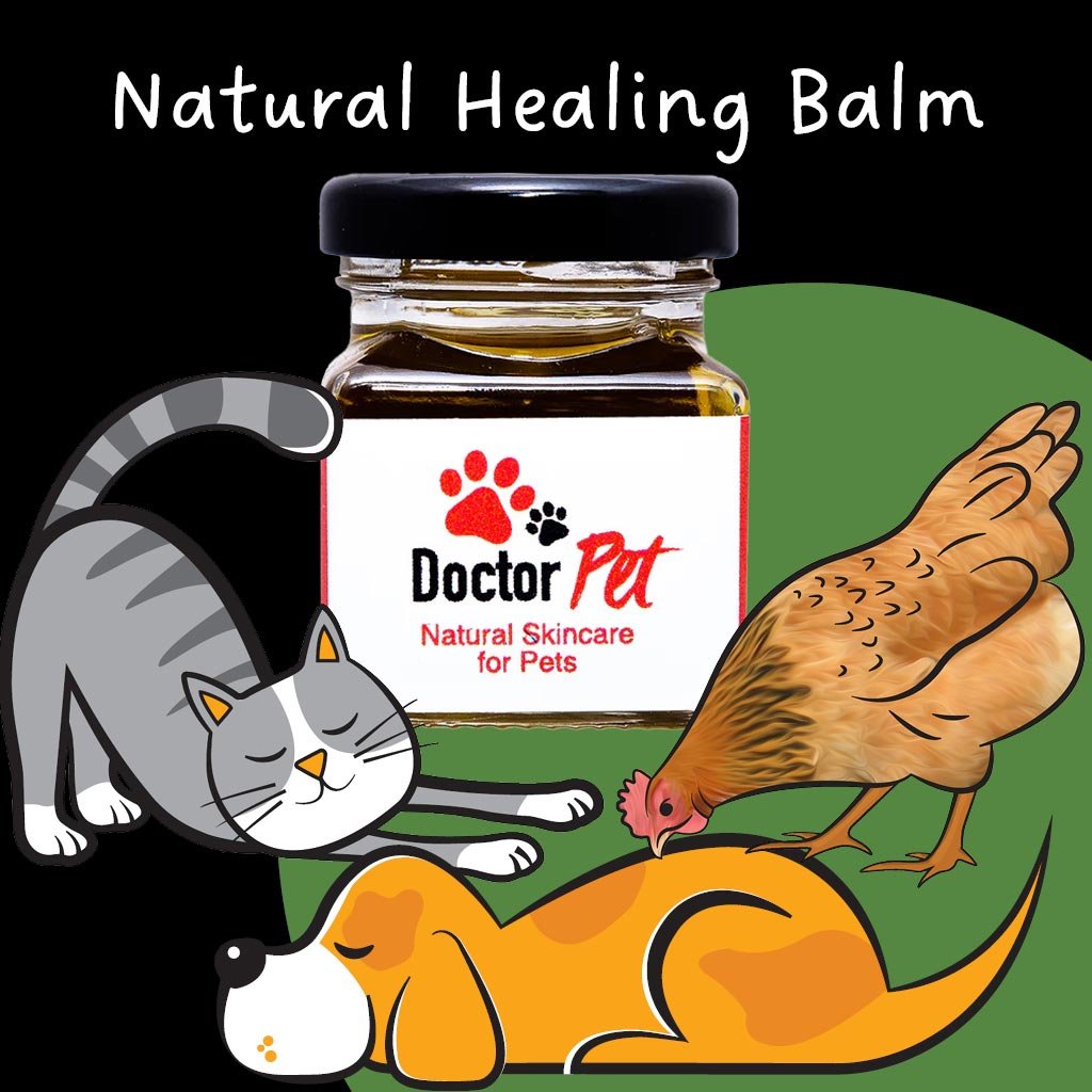 doctor pet healing balm | smooch