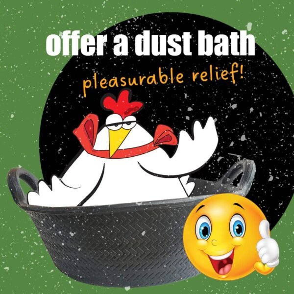 dust bath bowl kit | appletons