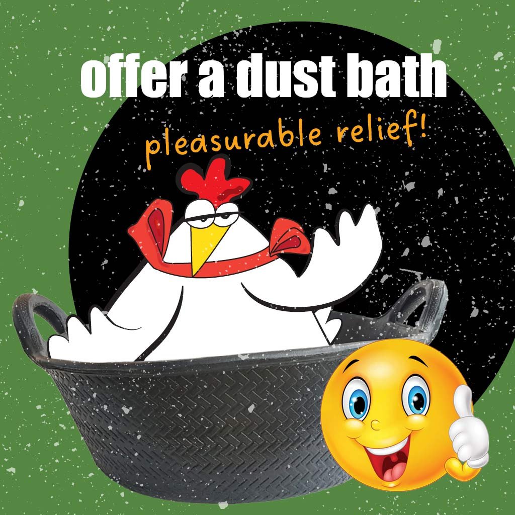 dust bath bowl kit | appletons
