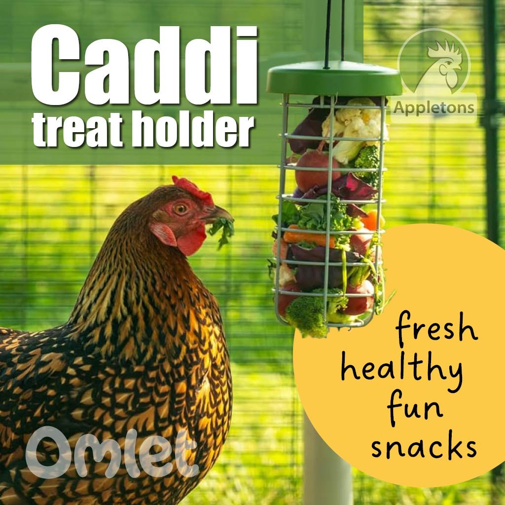 caddi chicken treat holder | omlet