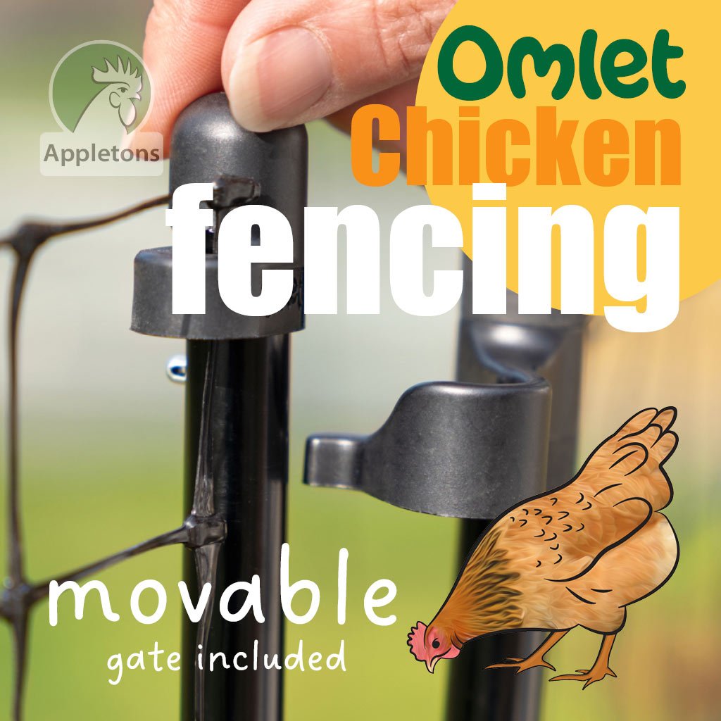 chicken fencing | omlet