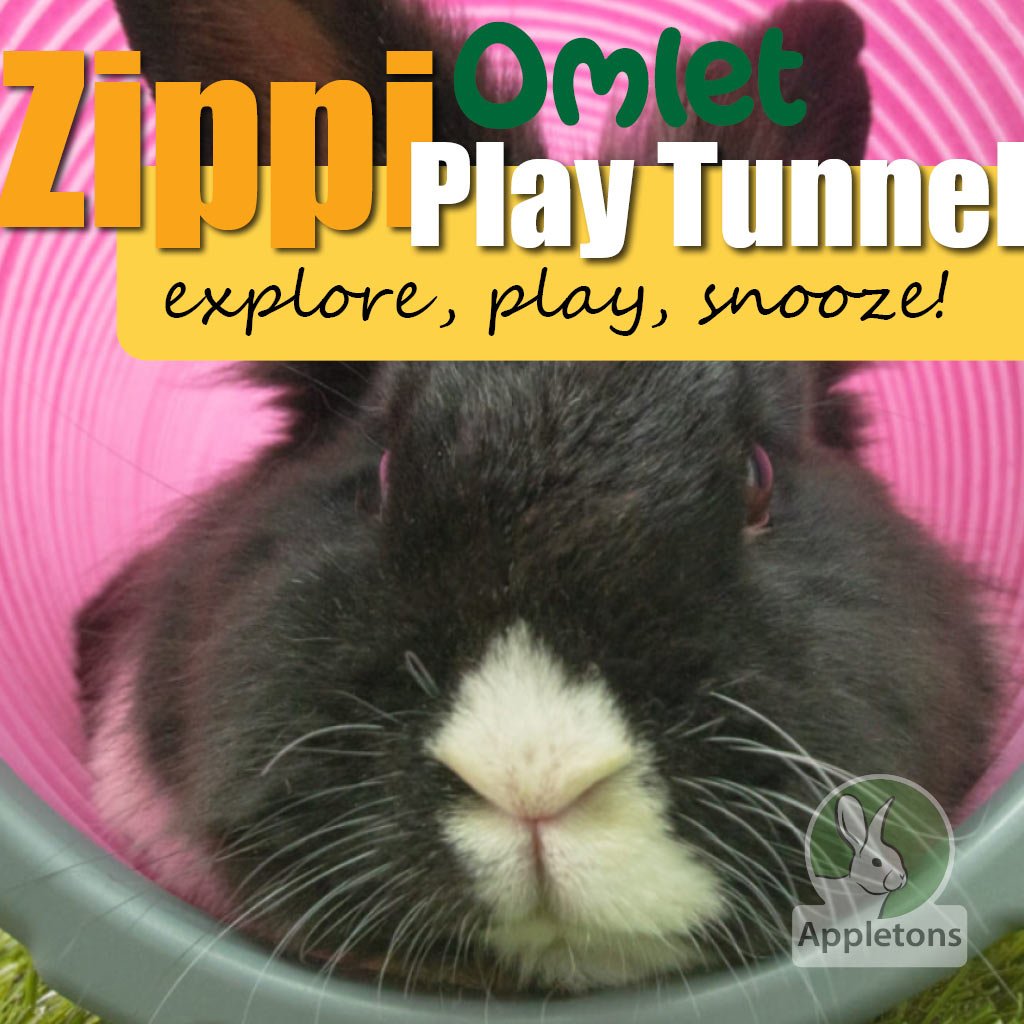 rabbit play tunnel | zippi