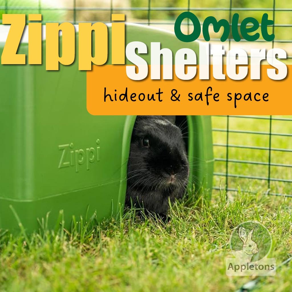 rabbit shelter | zippi