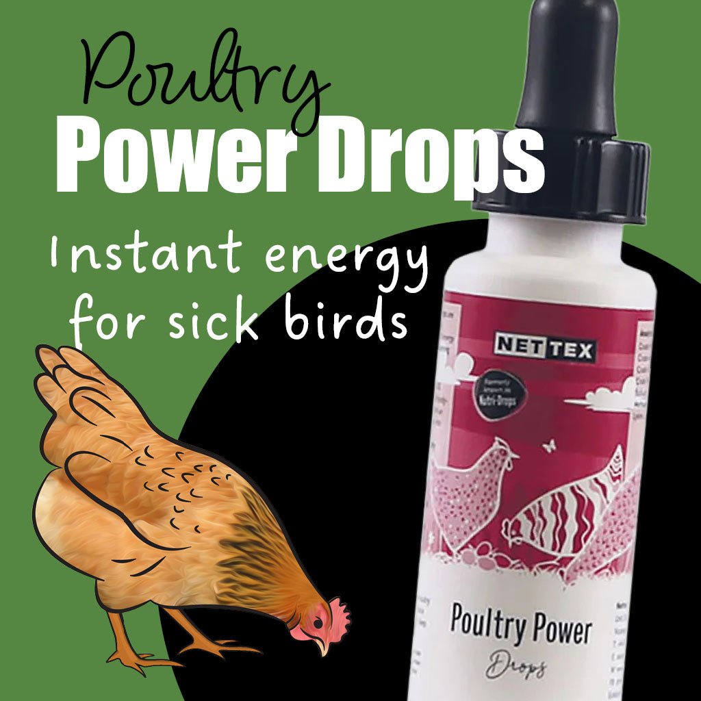 poultry power drops 30ml | nettex (short dated)