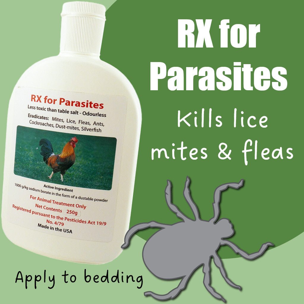 rx for parasites 250g | safe for small animals & birds