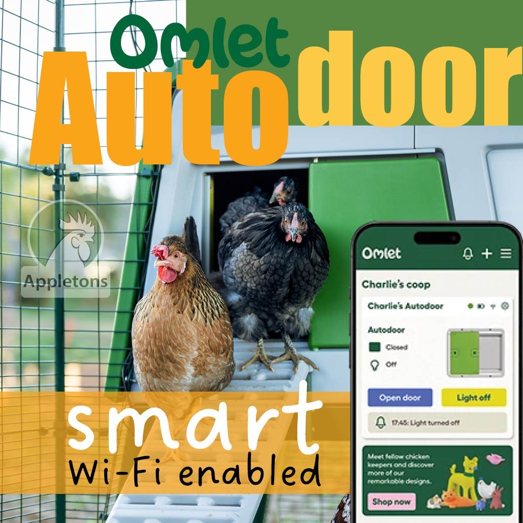 smart omlet autodoor | automatic chicken coop door