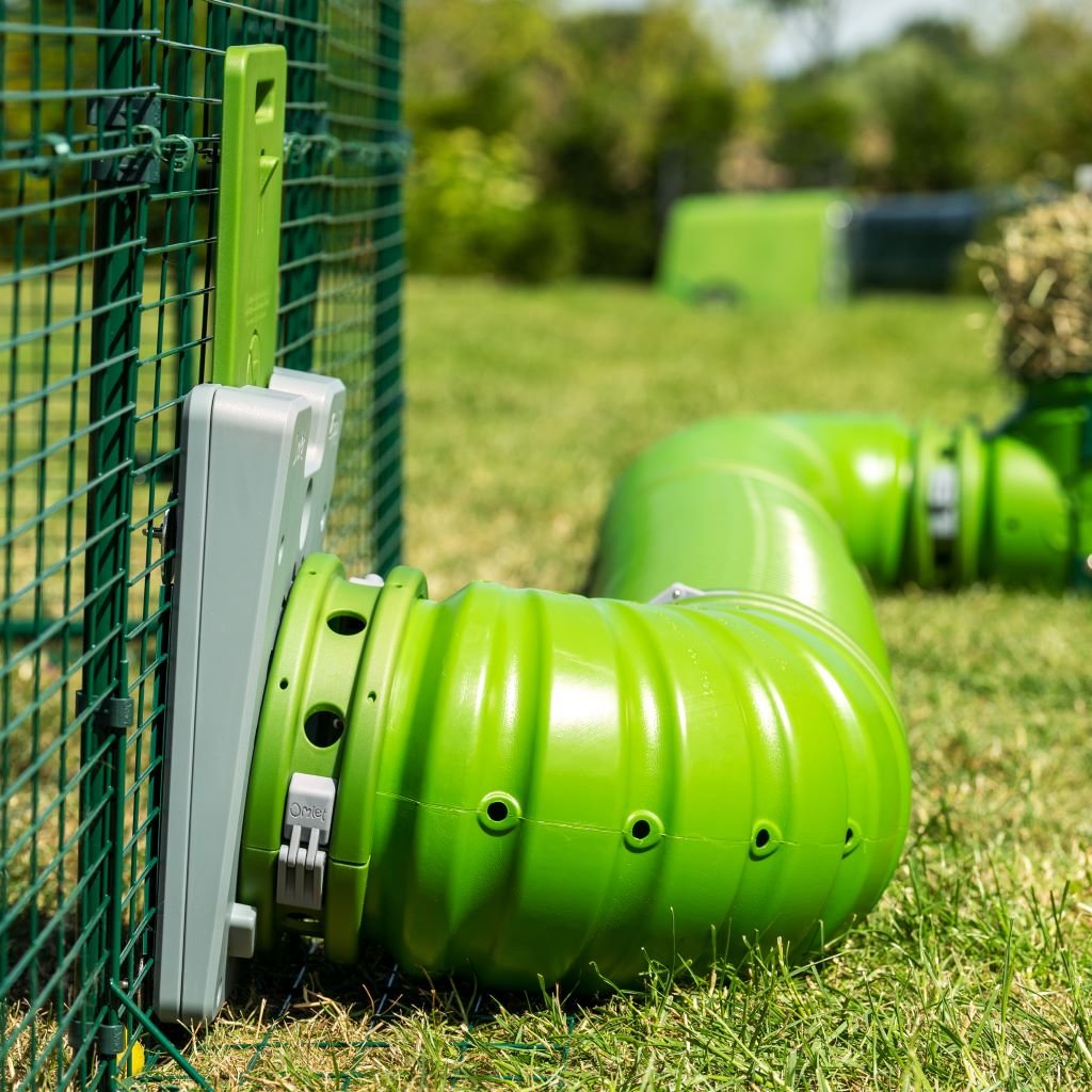 zippi tunnel system | rabbits & guinea pigs