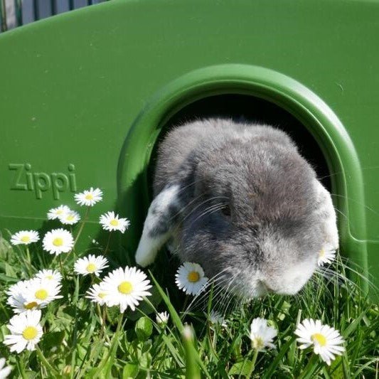 rabbit shelter | zippi
