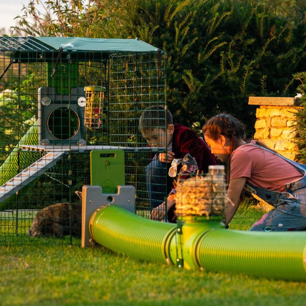 zippi tunnel system | rabbits & guinea pigs
