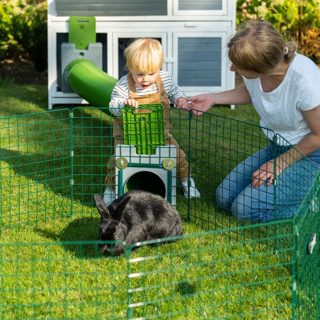 zippi tunnel system | rabbits & guinea pigs
