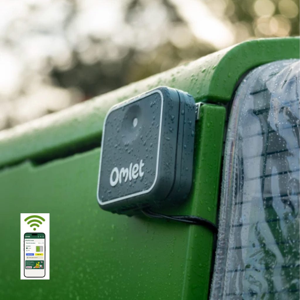 smart omlet autodoor | automatic chicken coop door