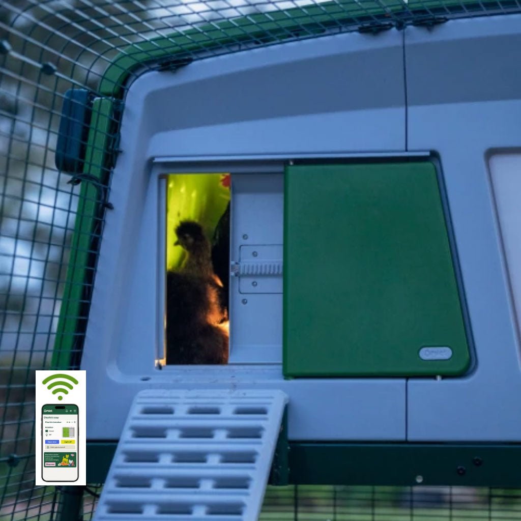smart omlet autodoor | automatic chicken coop door