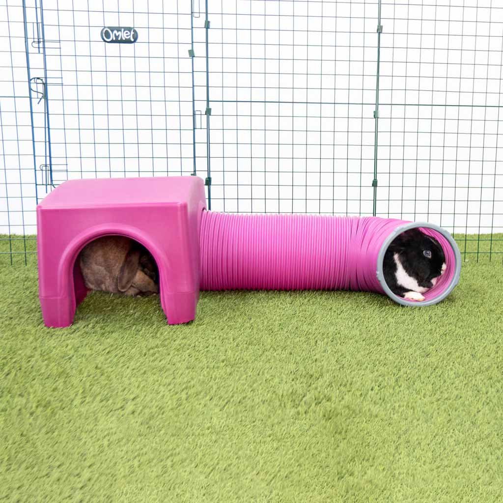 rabbit play tunnel | zippi