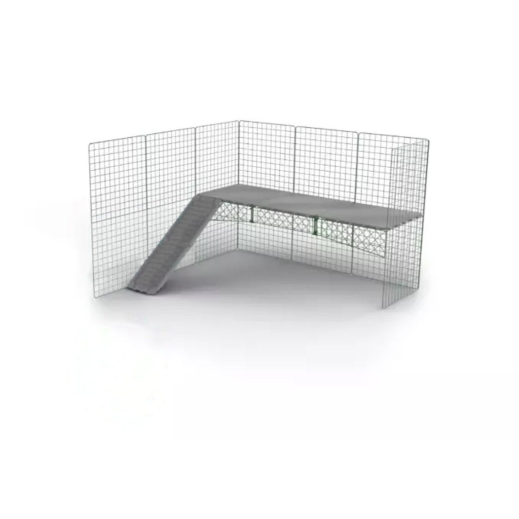 zippi platforms | rabbits