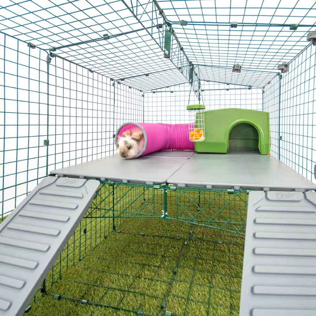 zippi platforms | rabbits