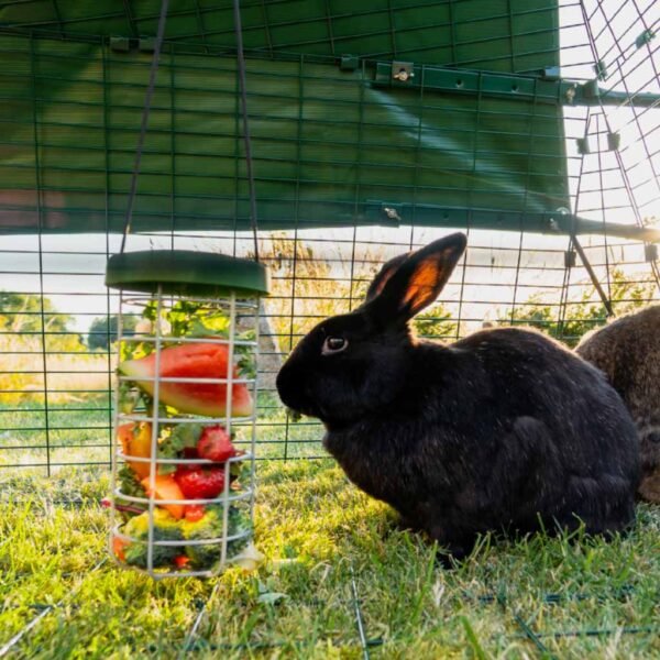 caddi rabbit & cavy treat holder | omlet