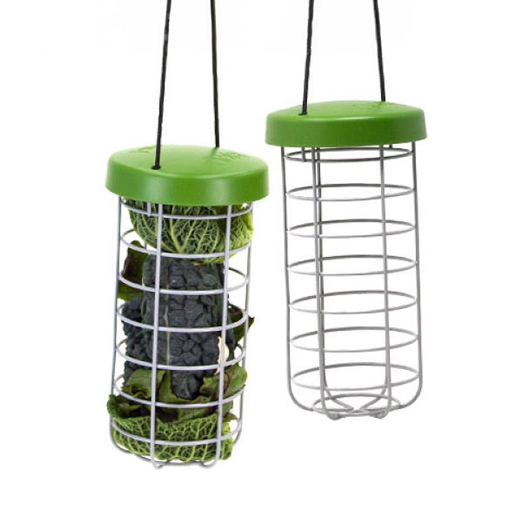 caddi chicken treat holder | omlet