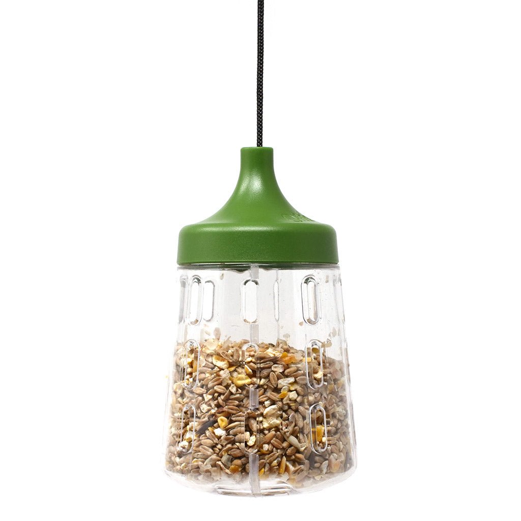 chicken treats box | appletons