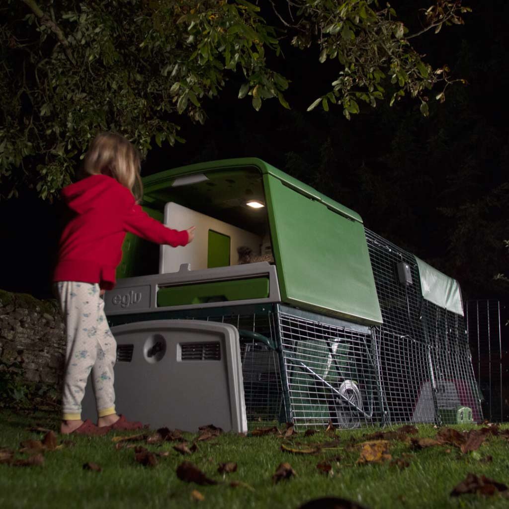 coop light | automatic chicken coop door