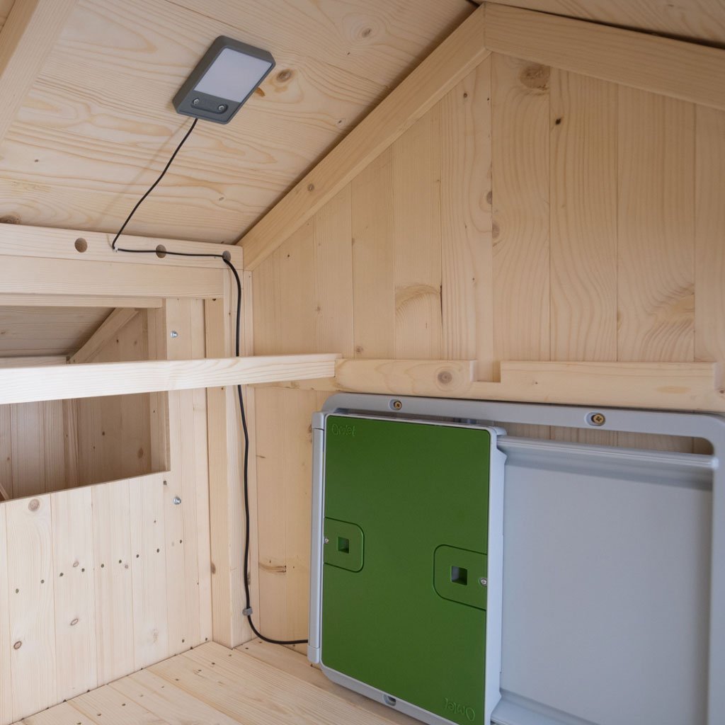 coop light | automatic chicken coop door
