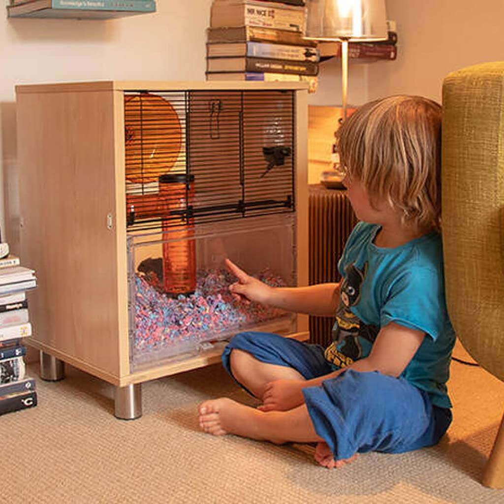 qute mouse house | omlet