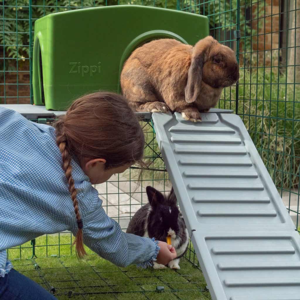 rabbit shelter | zippi