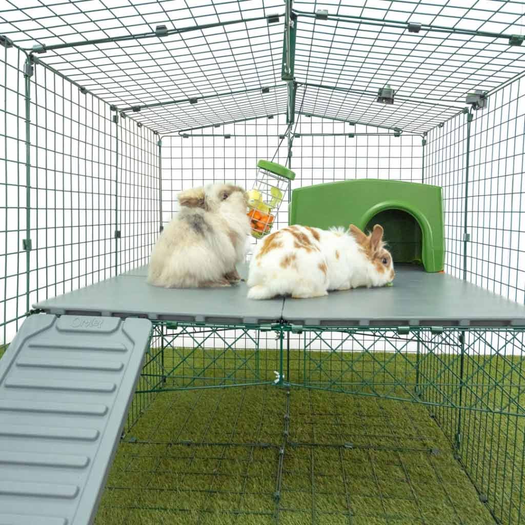 rabbit shelter | zippi