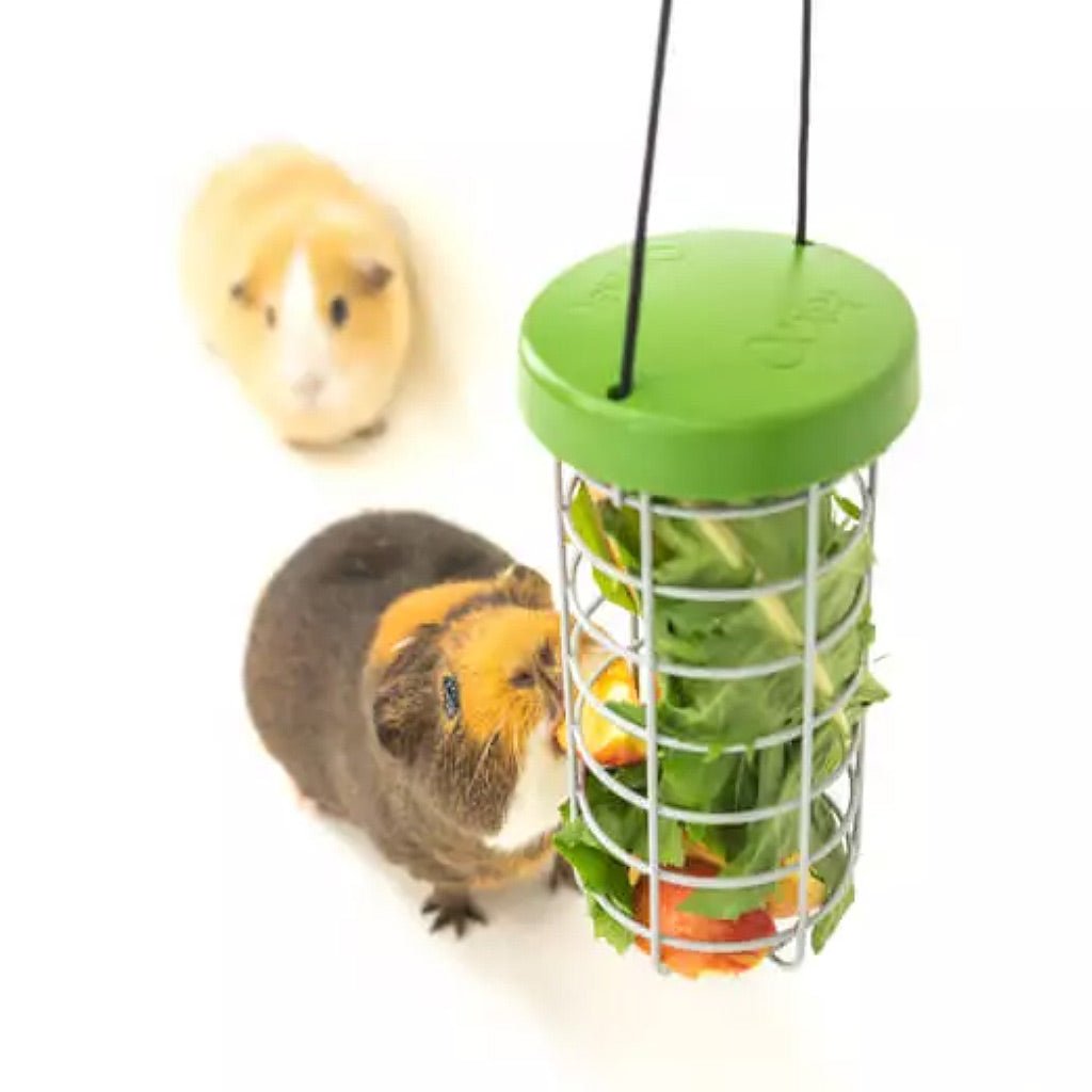 caddi rabbit & cavy treat holder | omlet